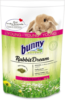 Bunny RabbitDream Young