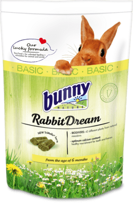 Bunny RabbitDream Basic
