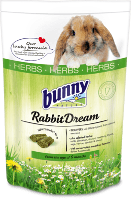 Bunny RabbitDream Herbs