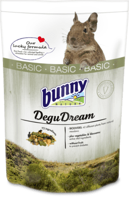 Bunny DeguDream Basic